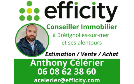 Efficity Anthony Célérier